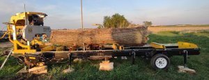 Large log on sawmill