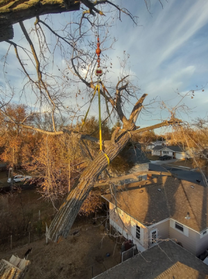 Large branch over garage using crane