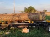 Large log on sawmill