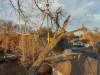 Large branch over garage using crane
