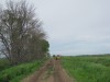 Right of way trees